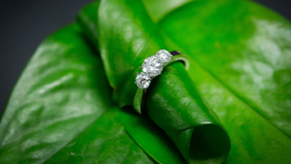 <p>Sustainability</p>
