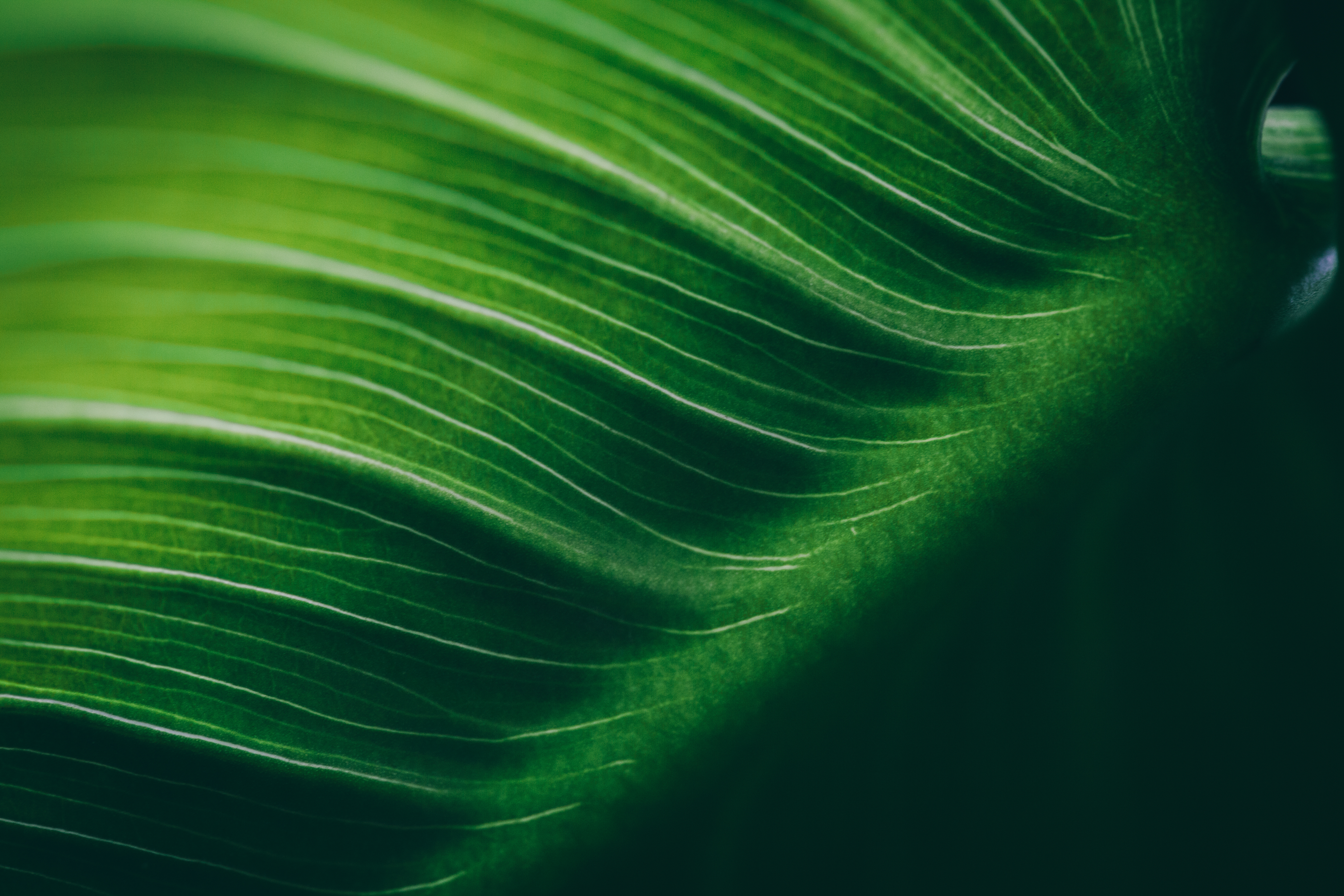 <p>Environment | Conserve ∙ Preserve​</p>
