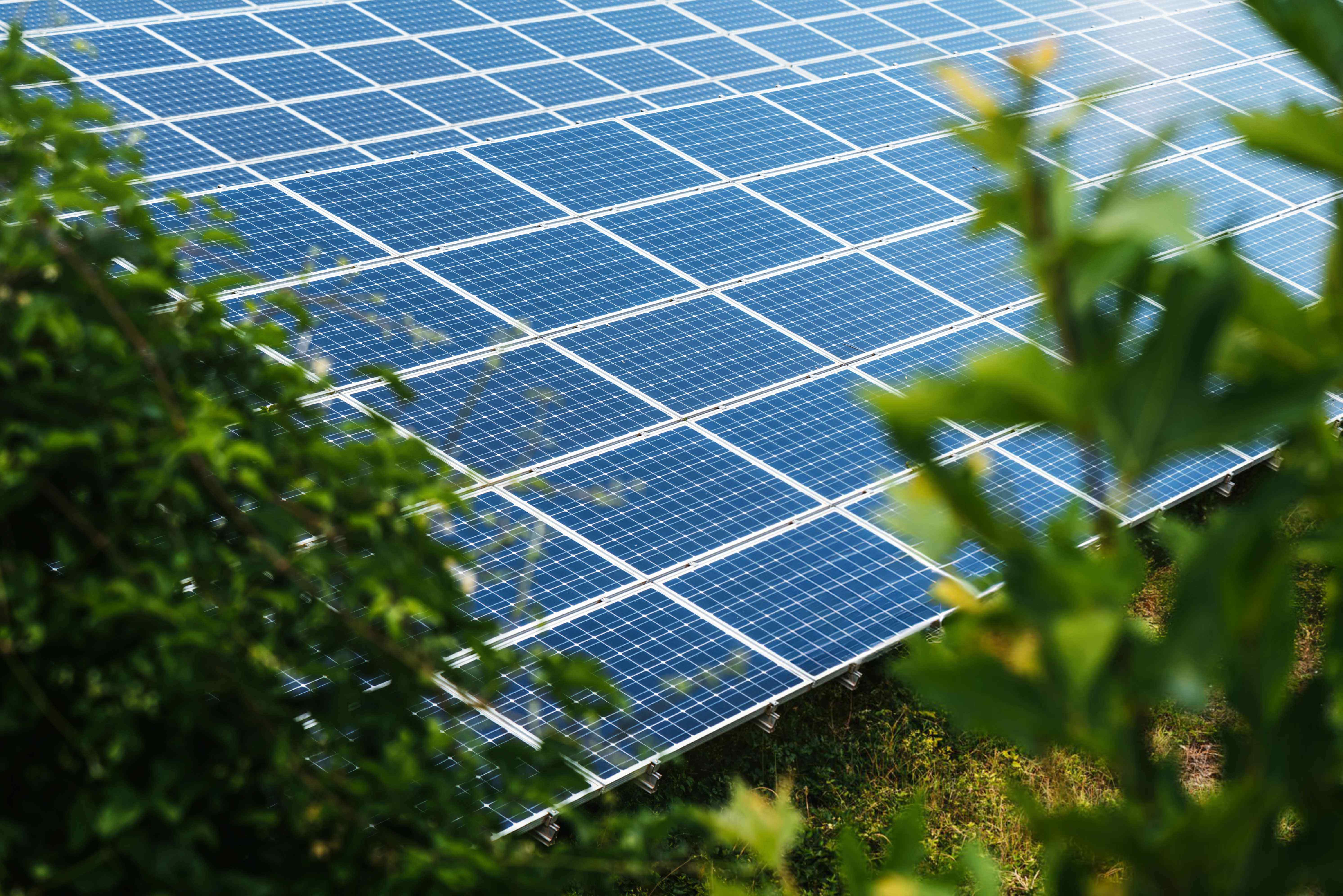 <p>Net-zero</p>
